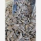 تخمه آفتابگردان خوش طعم و تازه 250 گرمی