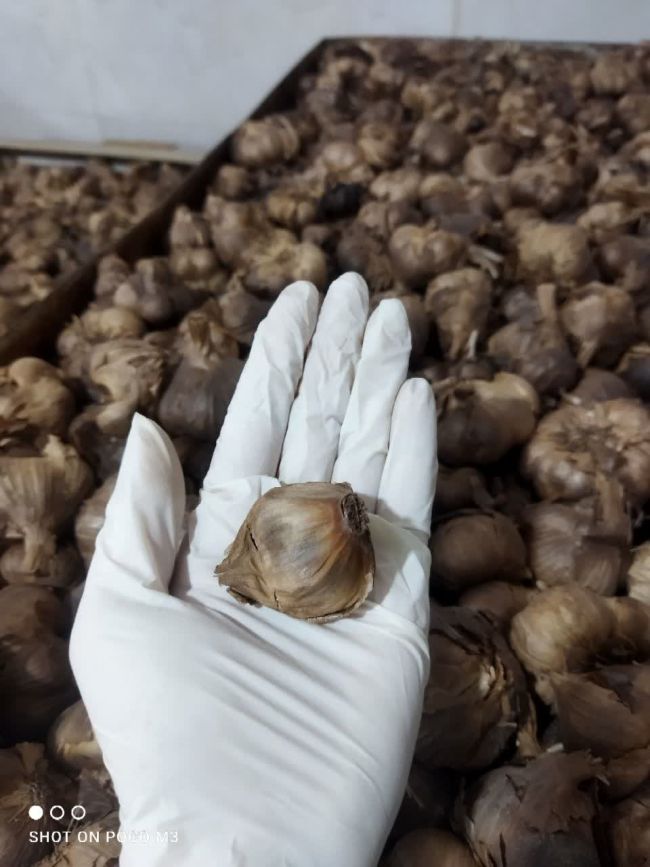 سیر سیاه اعلا تخمیر کامل ( ۲۰۰گرمی)