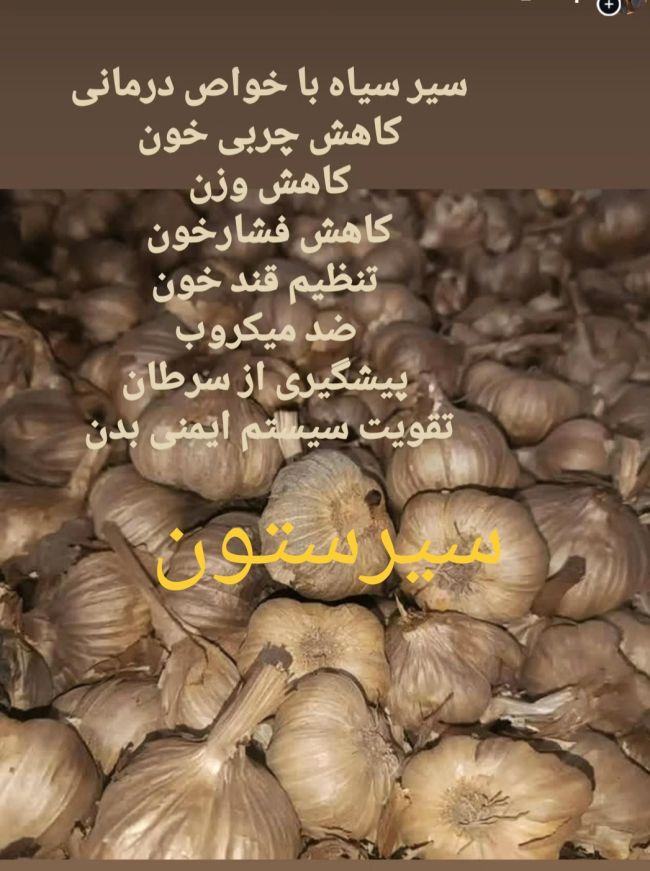 سیر سیاه اعلا تخمیر کامل ( ۲۰۰گرمی)