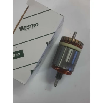 آرمیچر استارت پژو قدیم