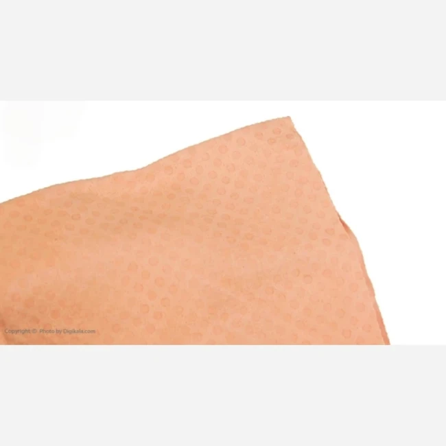 دستمال تمیز کننده خودرو مدل clean cham