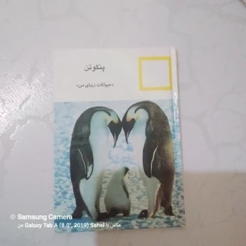 کتاب حیوانات زیبای من (پنگوئن)