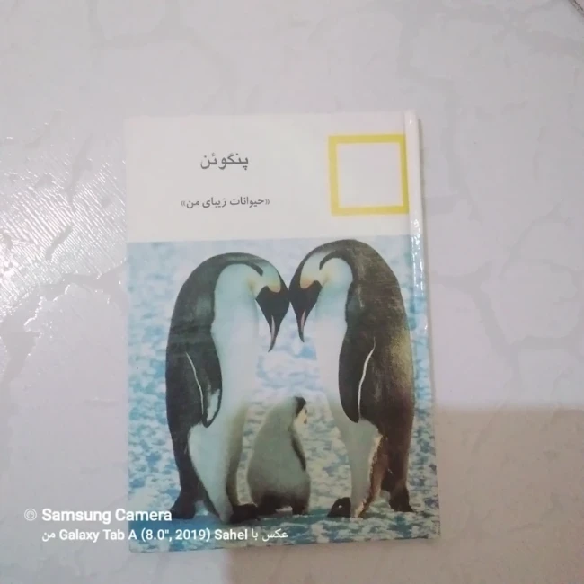 کتاب حیوانات زیبای من (پنگوئن)