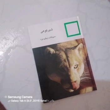کتاب حیوانات زیبای من (شیر کوهی)