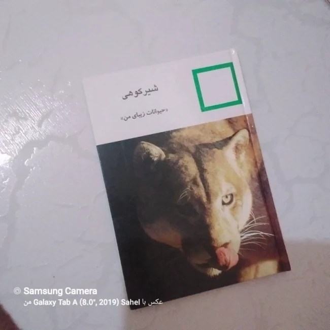 کتاب حیوانات زیبای من (شیر کوهی)