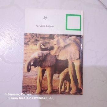 کتاب حیوانات زیبای من (فیل)