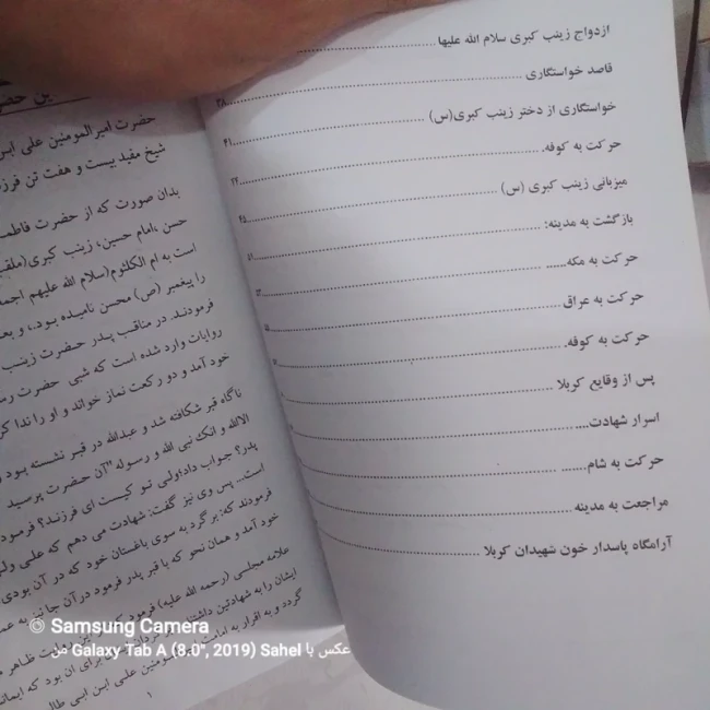 کتاب السلام علیک یا زینب کبری یا ام المصائب(س)