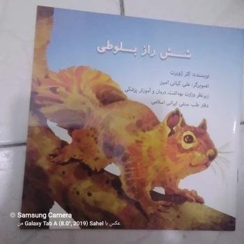 کتاب داستان شش راز بلوطی 