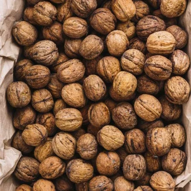 گردو، اصل تویسرکان پوست کاغذی و به شرط چربی  برداشت امسال
