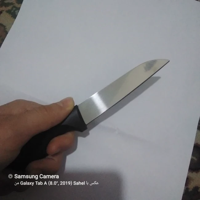 چاقو آشپزخانه خوش دست و تیز 