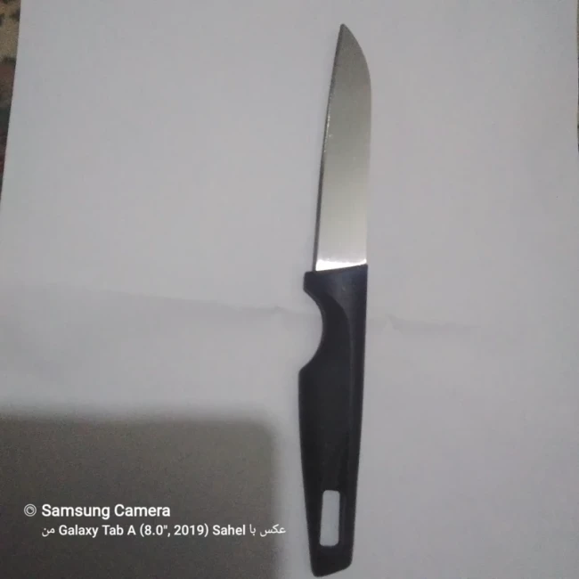 چاقو آشپزخانه خوش دست و تیز 