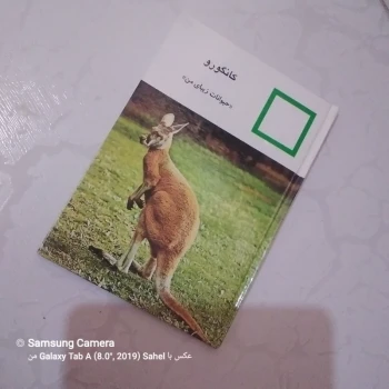 کتاب حیوانات زیبای من (کانگورو)
