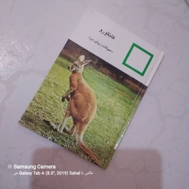 کتاب حیوانات زیبای من (کانگورو)