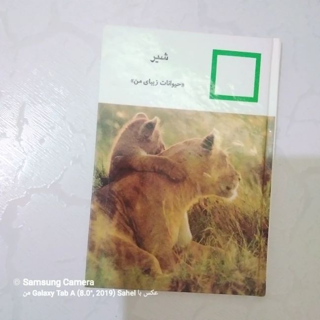 کتاب حیوانات زیبای من (شیر)
