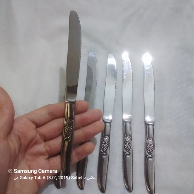 کارد غذا خوری آلمانی خوش دست و خاص 6عددی طرح شاخه انگور