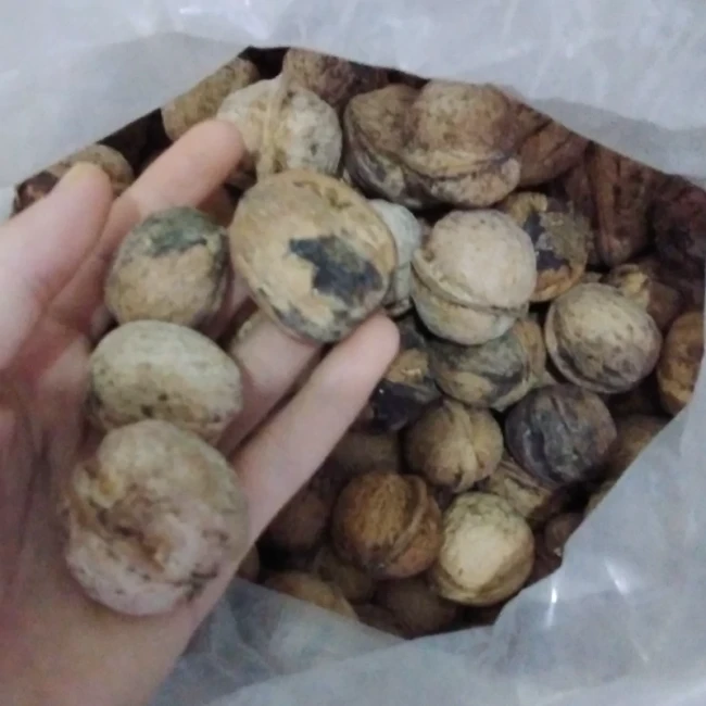 گردو، اصل تویسرکان پوست کاغذی و به شرط چربی  برداشت امسال