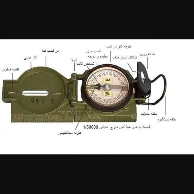 قطب نما آمریکایی 
