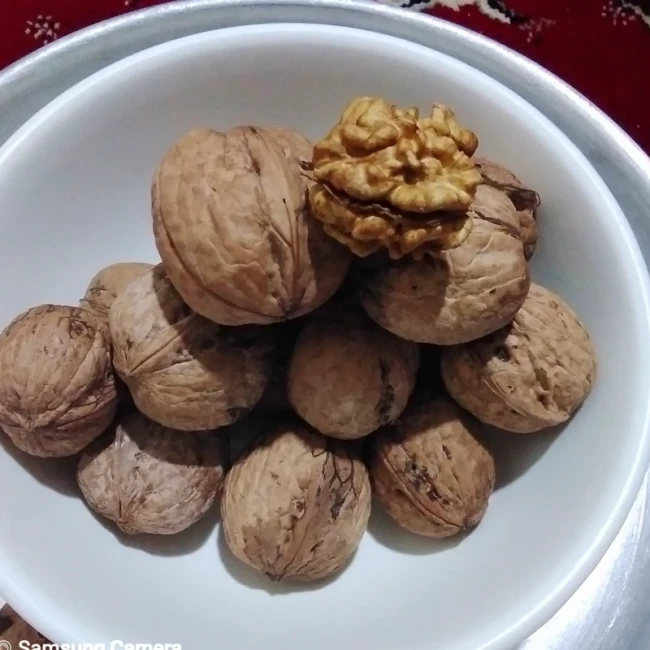 گردو تویسرکان پوست کاغذی 