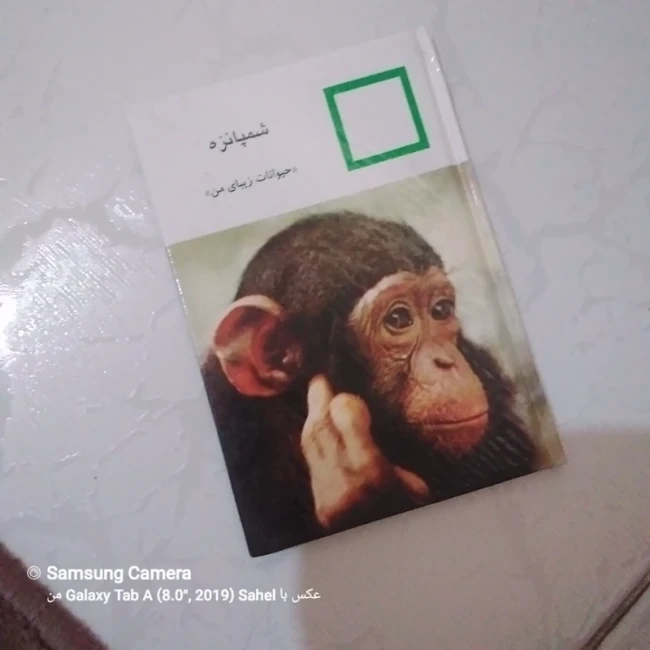 کتاب حیوانات زیبای من (شامپانزه)