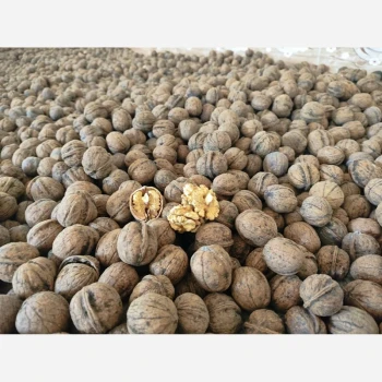 گردو درجه یک تویسرکان طبیعی وخوشمزه وپرچرب
گردو مال باغ خودمون بوده و به شرط چربی گردو   وخوشمزه بودن