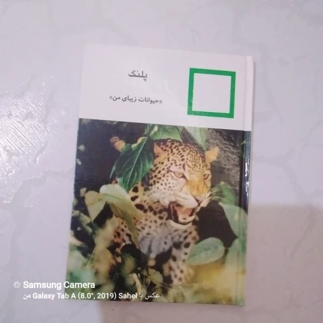 کتاب حیوانات زیبای من (پلنگ)