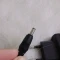 شارژر نوکیا مدل ACP-12Eفیش سوزنی بزرگ