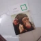 کتاب حیوانات زیبای من (شامپانزه)