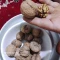 گردو تویسرکان پوست کاغذی 