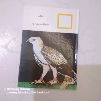 کتاب حیوانات زیبای من (عقاب)