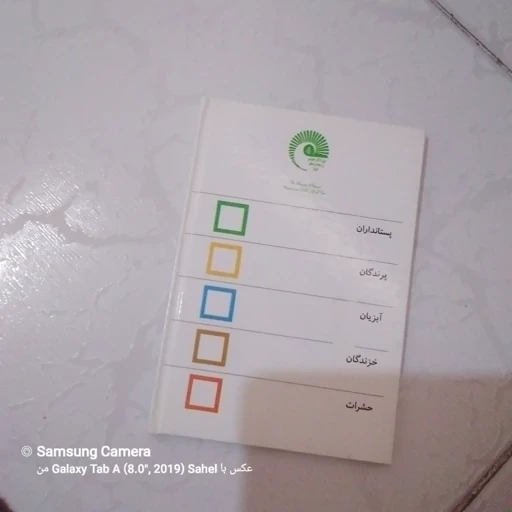 کتاب حیوانات زیبای من (شیر کوهی)