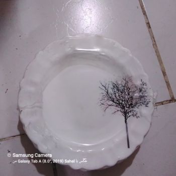 6تا بشقاب میوه وسالاد خوری طرح درخت 