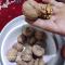 گردو پوست کاغذی اصل تویسرکان پر چرب و پرمغز بار امسال