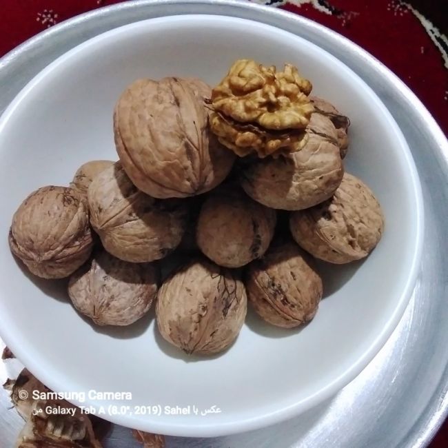 گردو پوست کاغذی اصل تویسرکان پر چرب و پرمغز بار امسال
