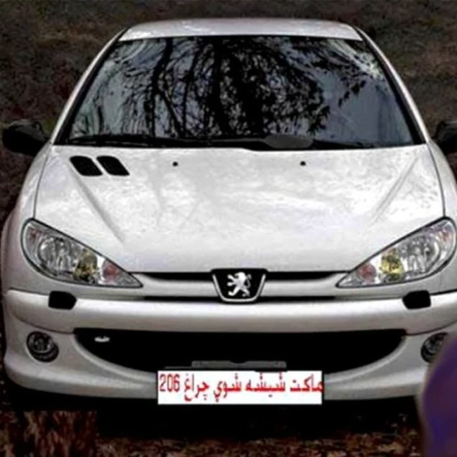 ماکت چراغ شوی پژو 206