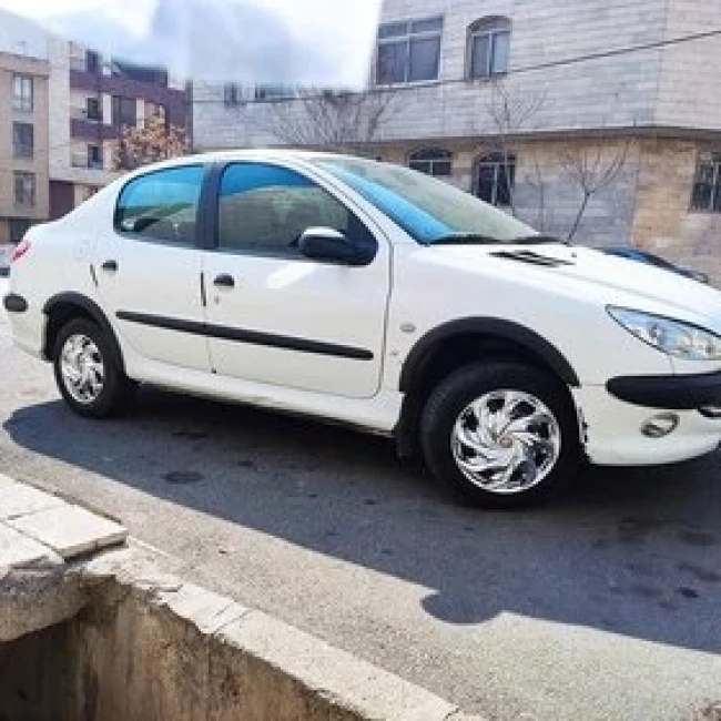 زه گلگیر 206 صندوق دار (بسته 4 عددی)