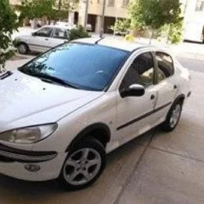 زه گلگیر 206 صندوق دار (بسته 4 عددی)