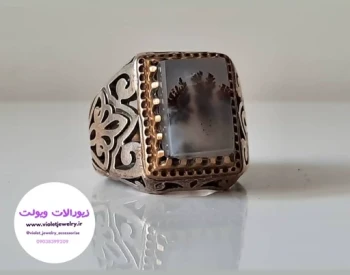 انگشترنقره شجر ابدار کد 304 مدل 1