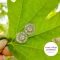 گوشواره میخی نگین دار مجلسی (نگین باگت) نقره ای کد 1119