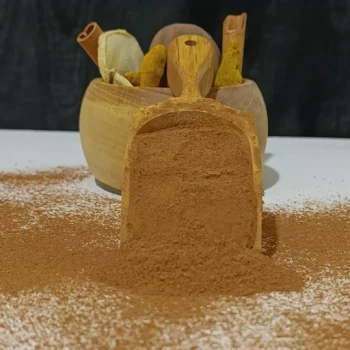 پودر دارچین مرغوب 500 گرمی ترنج (پیشنهاد ویژه به مدت محدود)