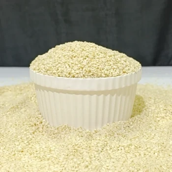 کنجد سفید درجه یک 500 گرمی ترنج