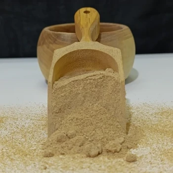 پودر پیاز درجه یک 100 گرمی ترنج