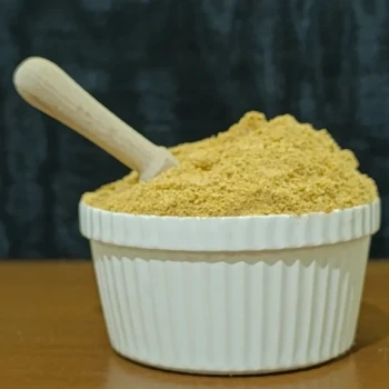 چاشنی سیب زمینی بلژیکی 100 گرمی ترنج
