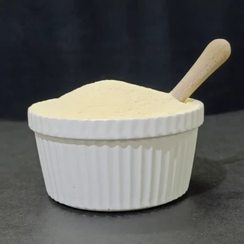 پودر پنیر پارمسان درجه یک 100 گرمی ترنج