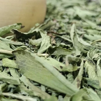 استویا برگ و شکسته درجه یک 50 گرمی ترنج