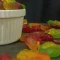 پاستیل دایناسوری درجه یک 100 گرمی ترنج