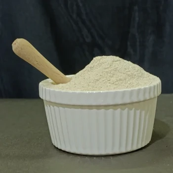 ادویه سیر و پنیر پارمزان 100 گرمی ترنج