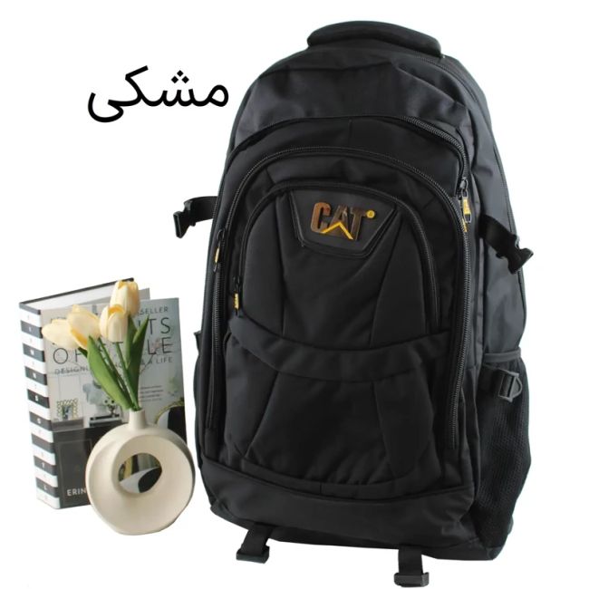 کوله پشتی پارچه ای مسافرتی و ورزشی دارای بند بلند و جیب متعدد ابعاد 55 در 30 در 25 سانتیمتر