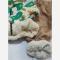 ست سوییشرت و شلوار داخل خز ببعی طرح داینو دخترانه و پسرانه