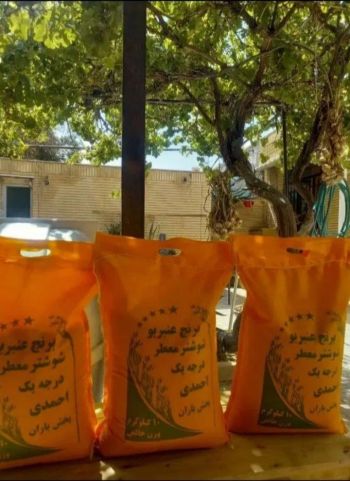 برنج عنبر بو شوشتر