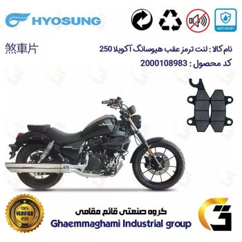 لنت دیسکی ترمز عقب موتورسیکلت کد 1009 مناسب برای هیوسانگ آکویلا 250 HYOSUNG AQUILA GV250 کویر موتور